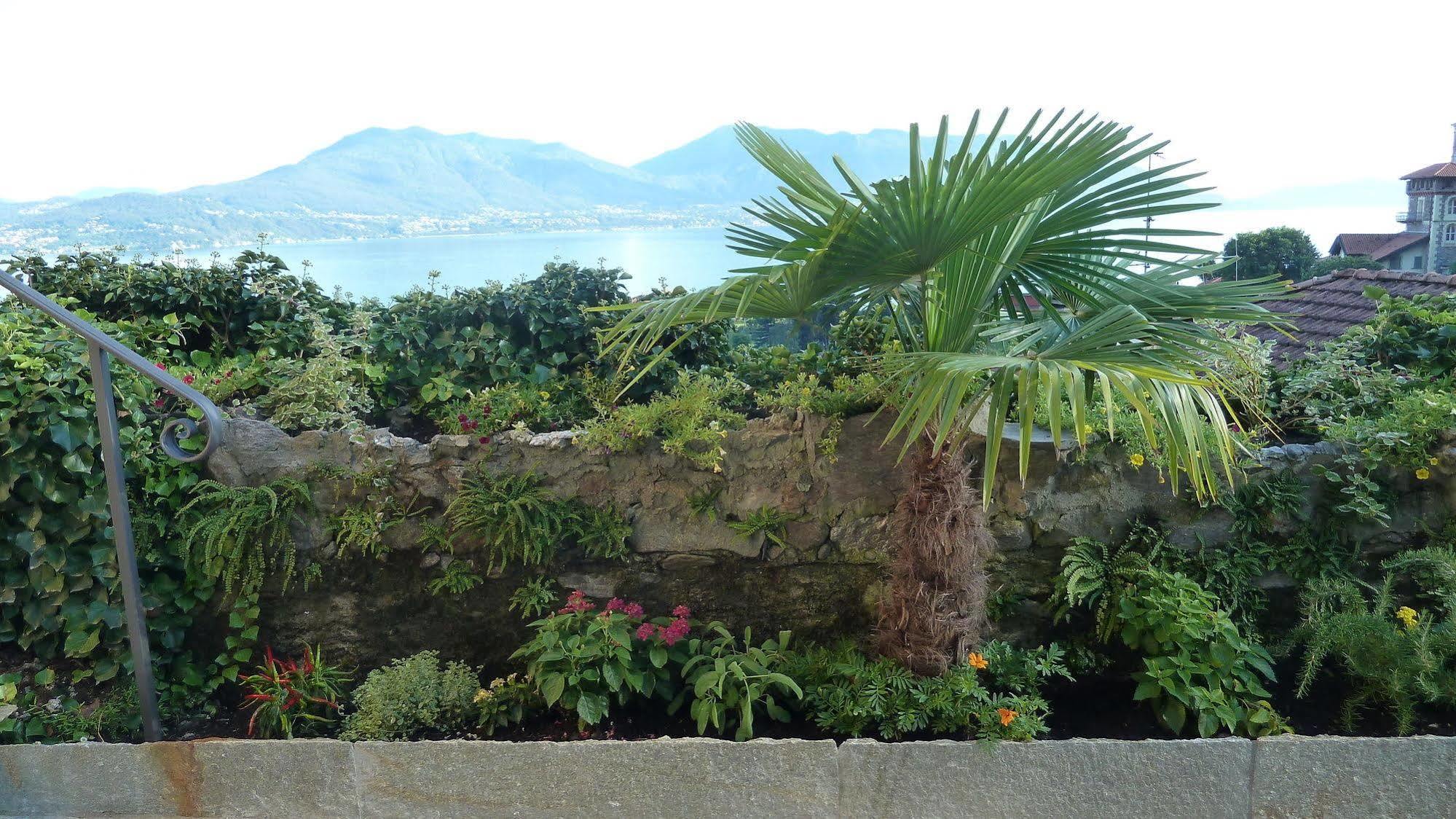 B&B Casa Forster Cannero Riviera Eksteriør billede