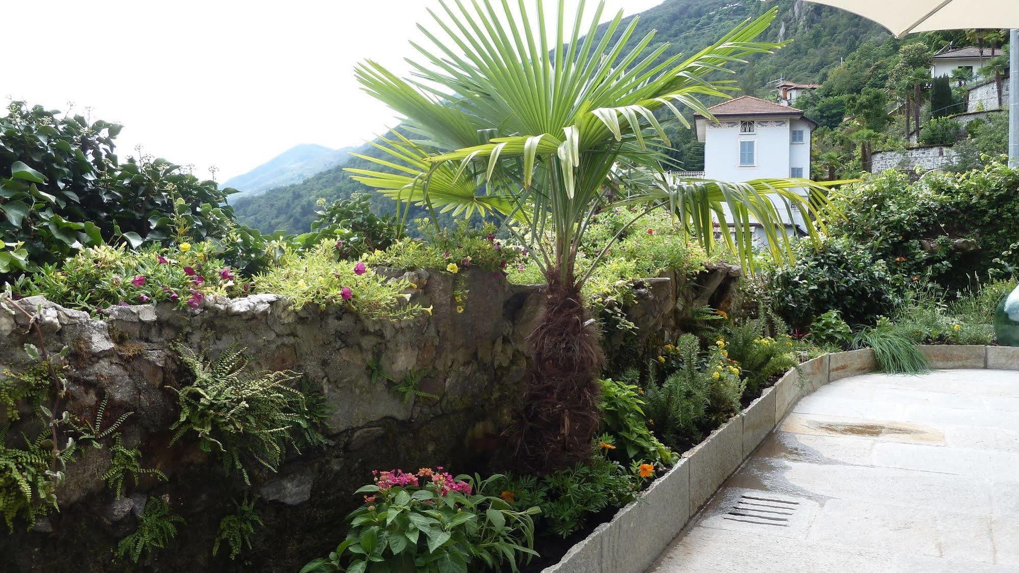 B&B Casa Forster Cannero Riviera Eksteriør billede